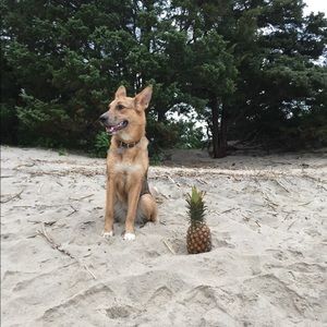 Meet your Posher, Kelly ann